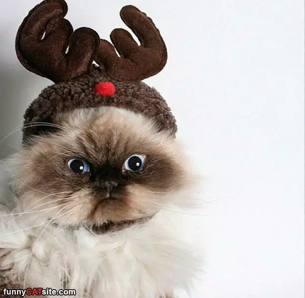 When Is Santa Coming