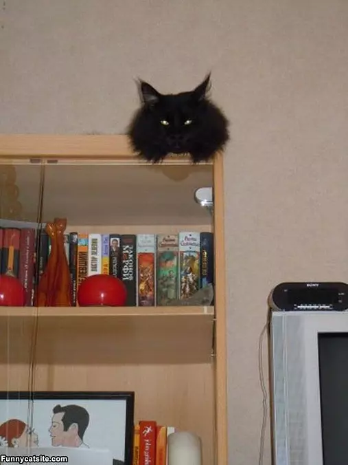 Where I Hang Out