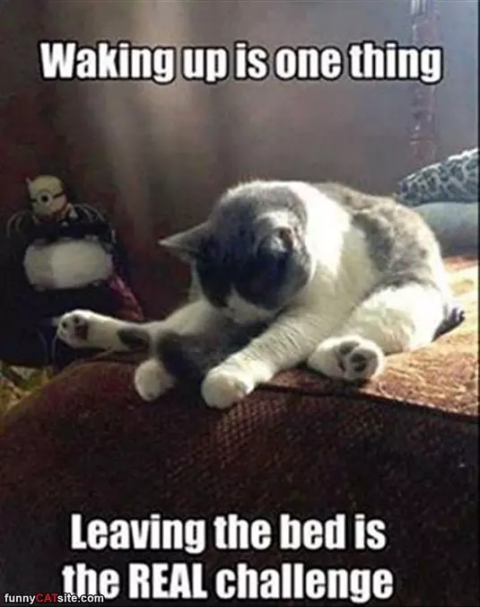 Waking Up Is One Thing