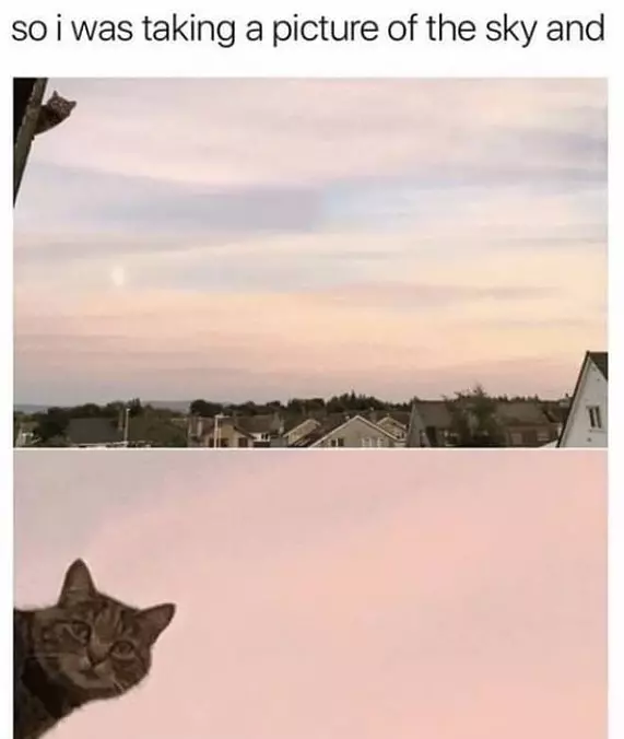 Well Hello There