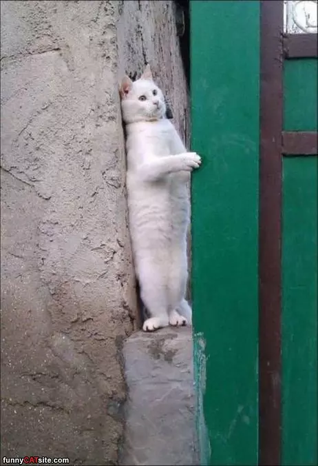 Standing Around Here