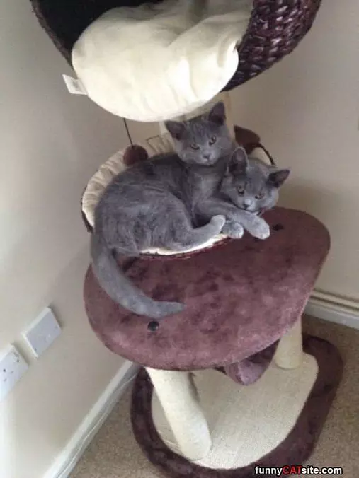 Sharing This Bed