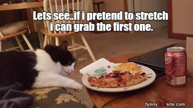 Pretend To Stretch