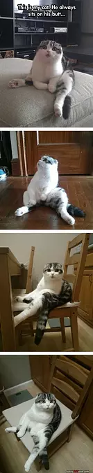 Sitting On His Butt