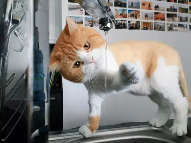 I Dont Want The Toys