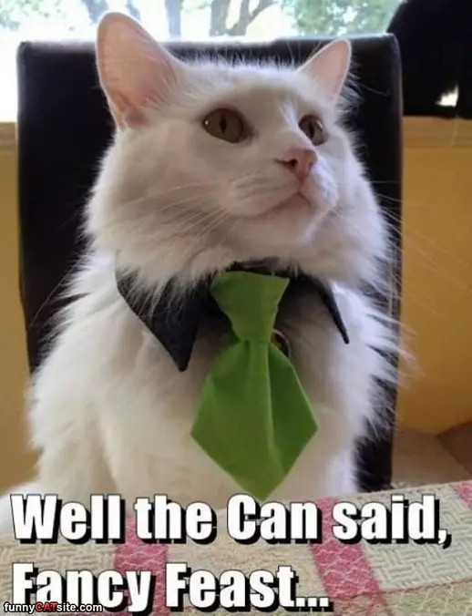Fancy Feast