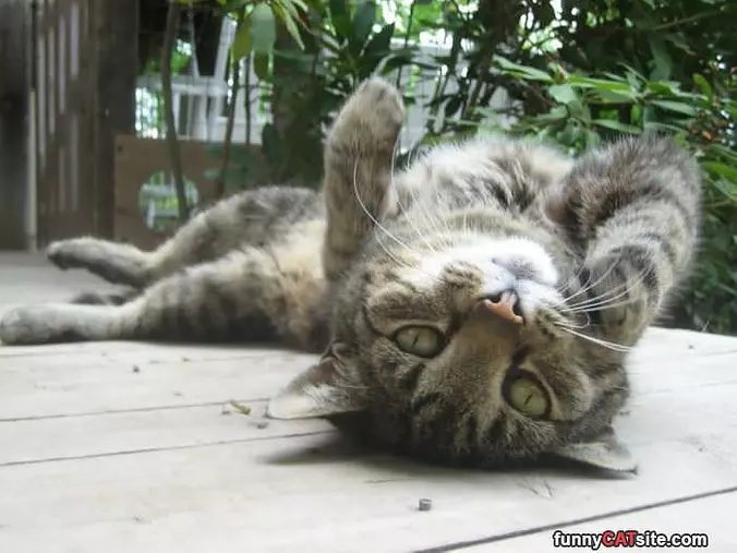 Laying On My Back