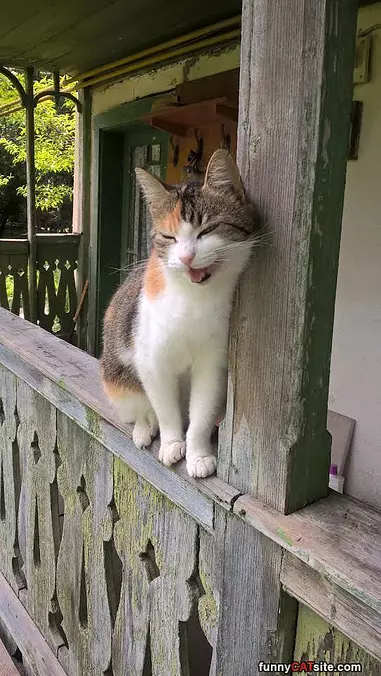 You So Funny