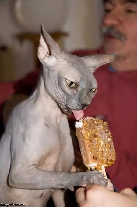 I Loves Ice Cream
