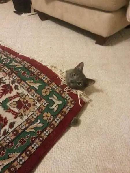 Hanging Out In My Bag