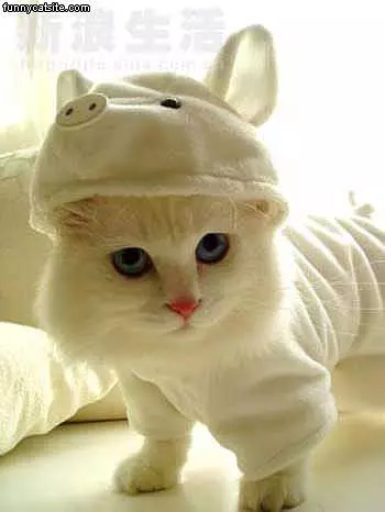 Great Hat