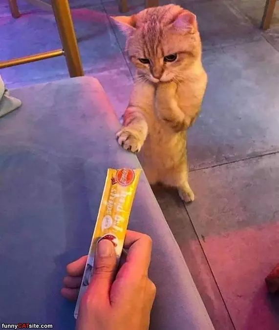 Hmmm