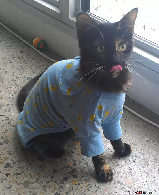 Got My Pajamas On