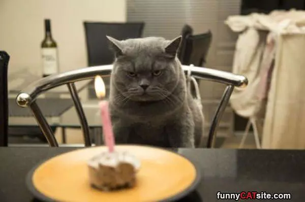Not Impressed