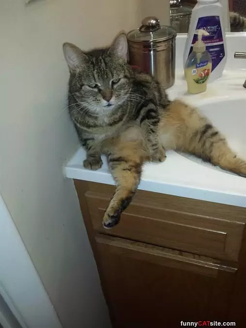 I Am So Lazy