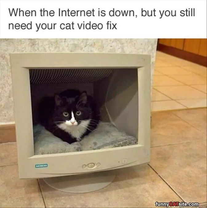 When The Internet Is Down