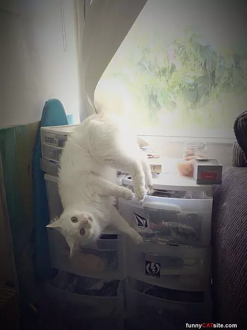 Chilling Here