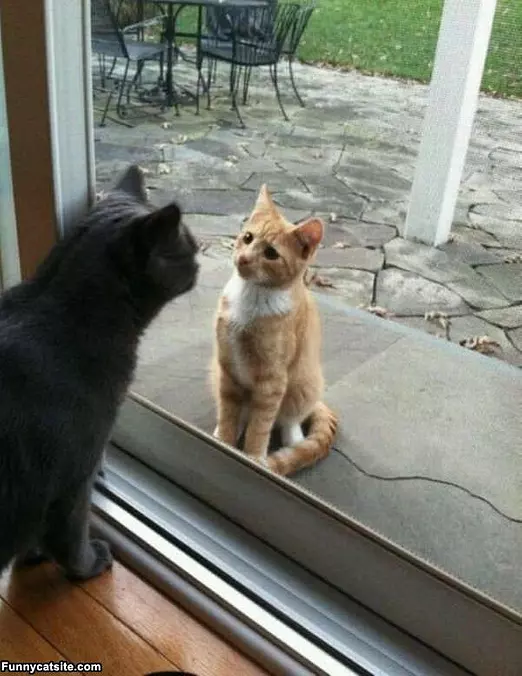 Oh Hello There