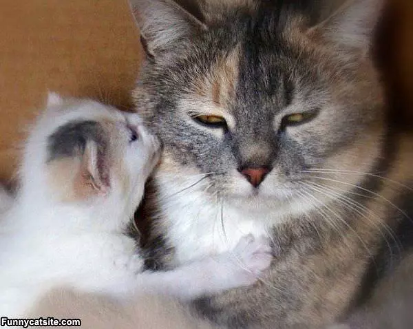 Tell Me A Secret
