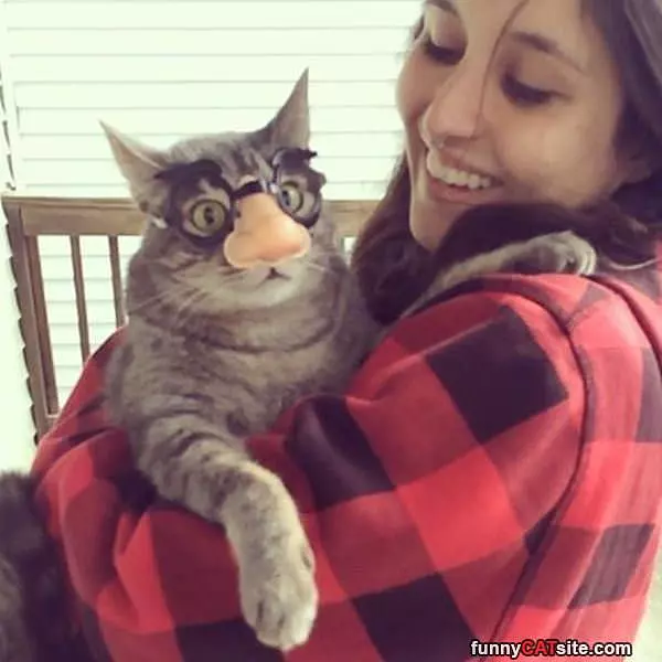 Cat With A Big Nose