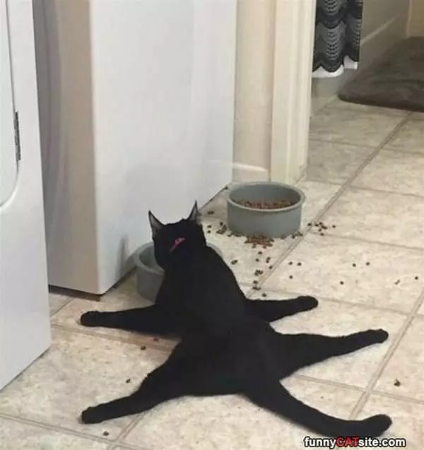 I Am So Tired But Still Hungry