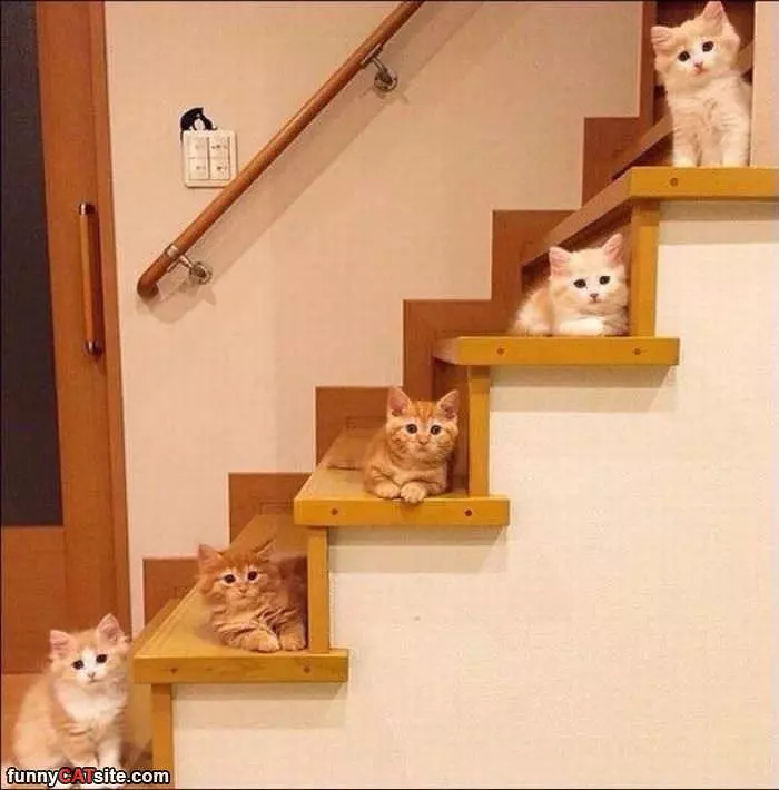 Stairs Full