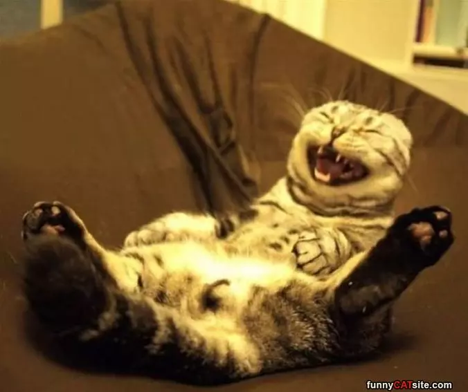 Hahhhhhaaarrh Haha