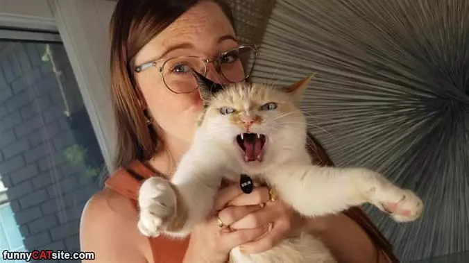 Raaaaaaaaawr