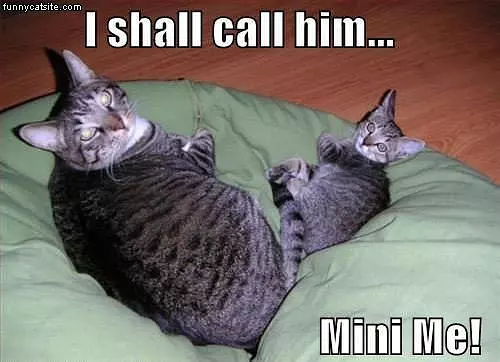 Mini Me