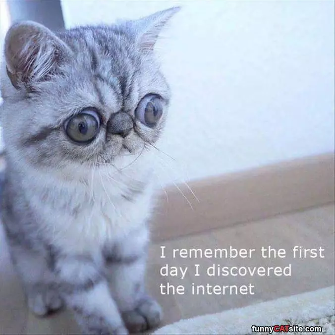 The First Day On The Internet