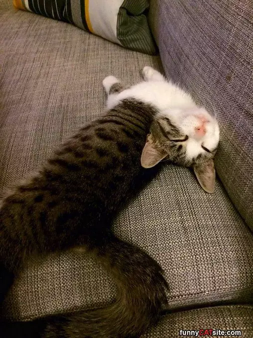 How I Sleep