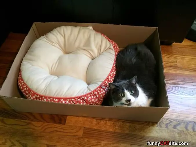 I Like The Box Better