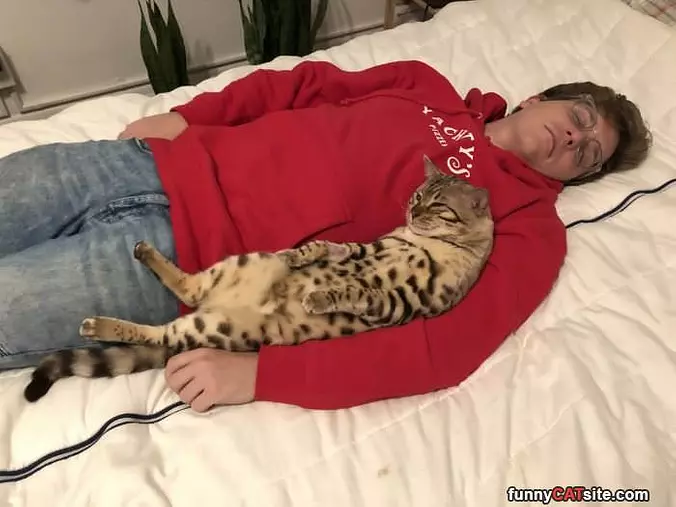 Me And My Owner