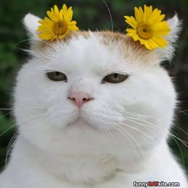 Flower Hair