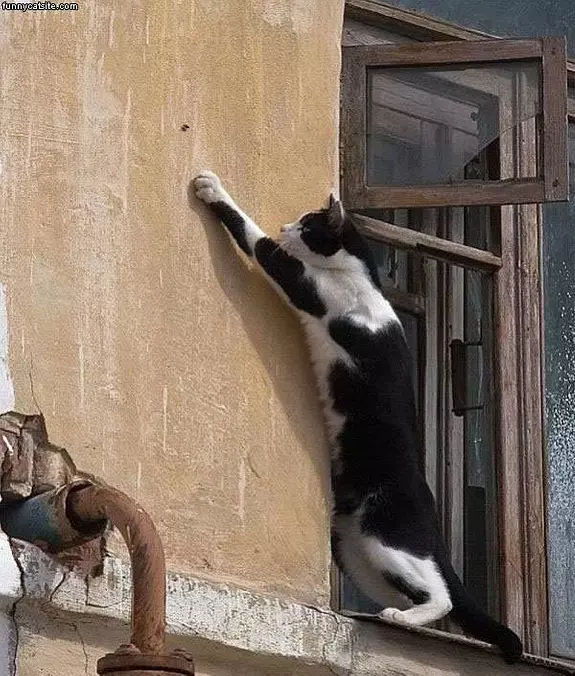 Ill Get You Fly