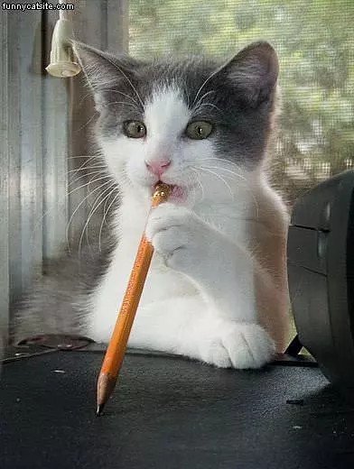 Thinking Deeply