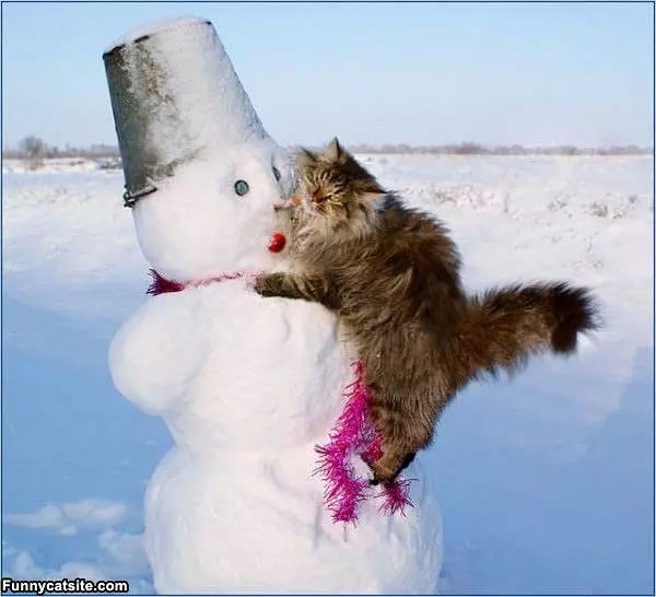 Snowman Attack