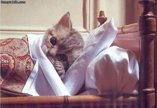 In Bed Sick