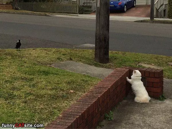 Sneaking Up