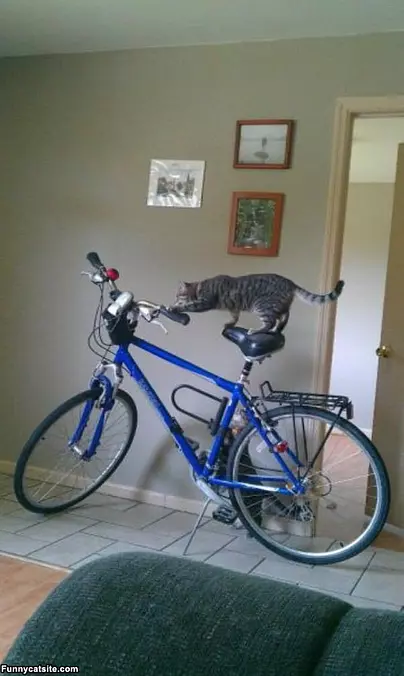 How Does This Thing Work