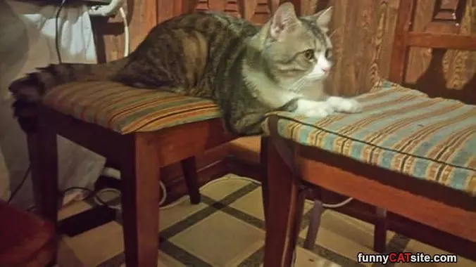2 Chairs For Me