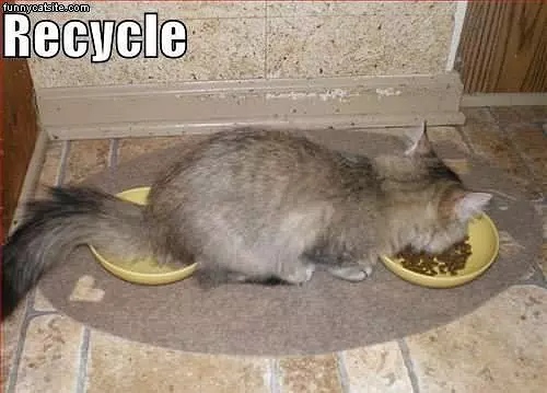 Recycle