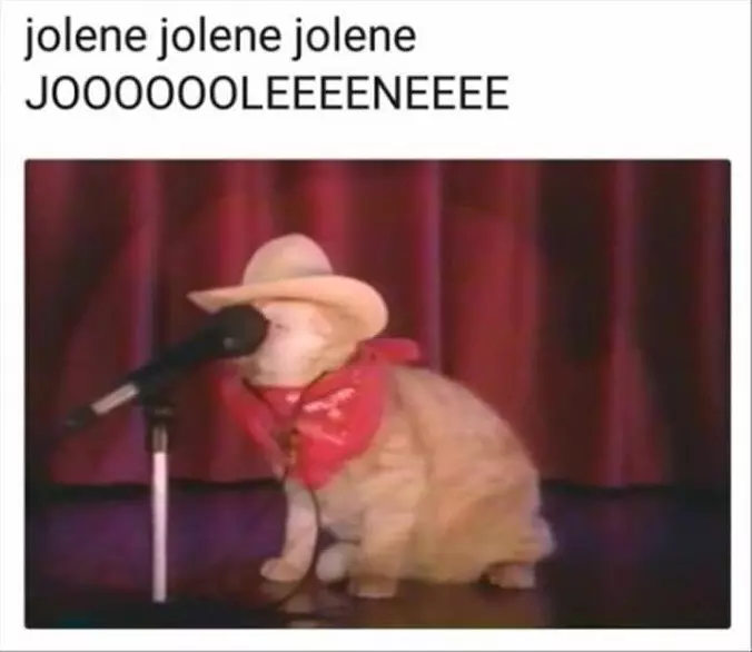 Jolene