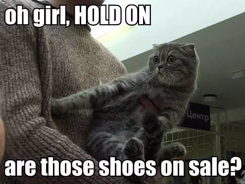 On Sale