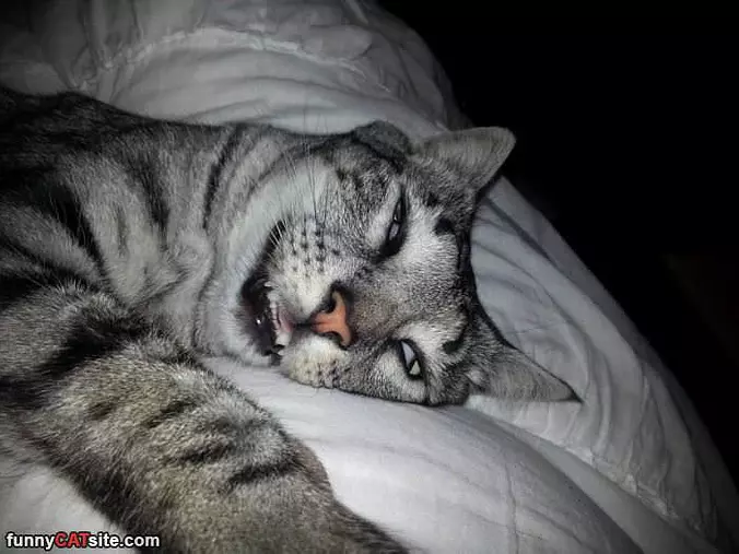 A Long Day