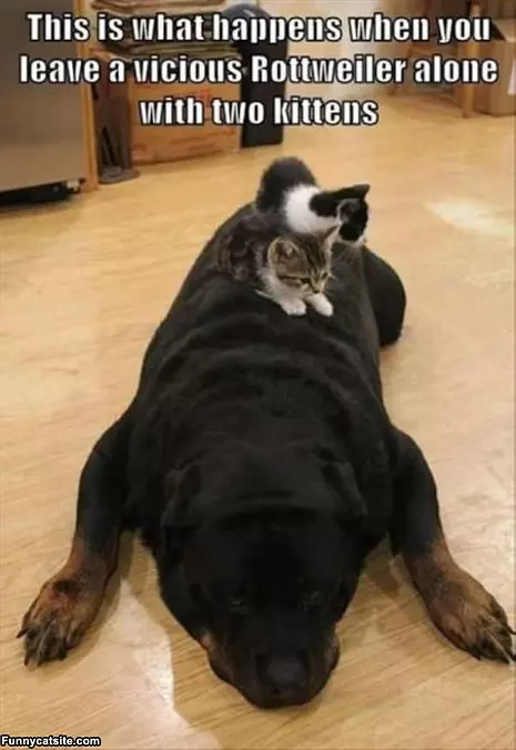 This Is What Happens