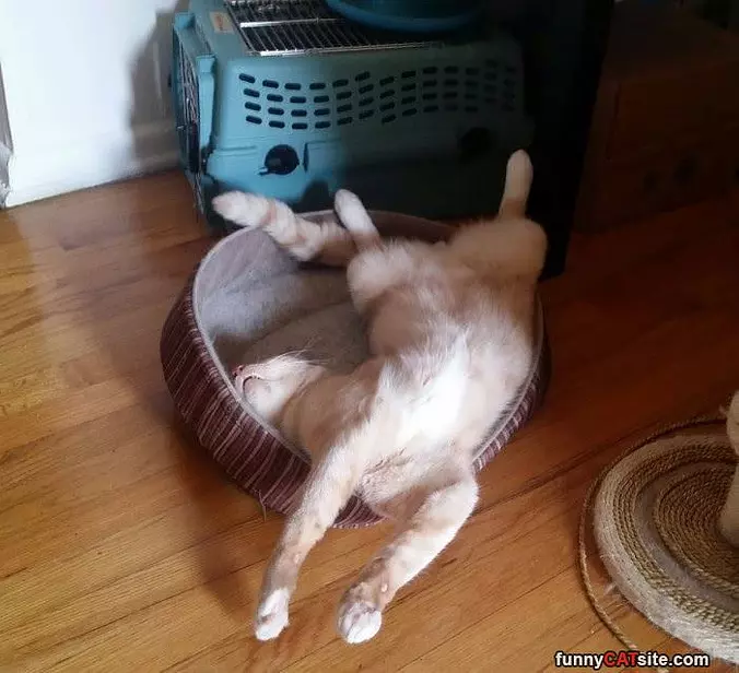 Sleep On My Back