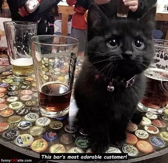 Adorable Customer