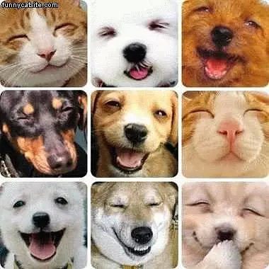 Happy Faces