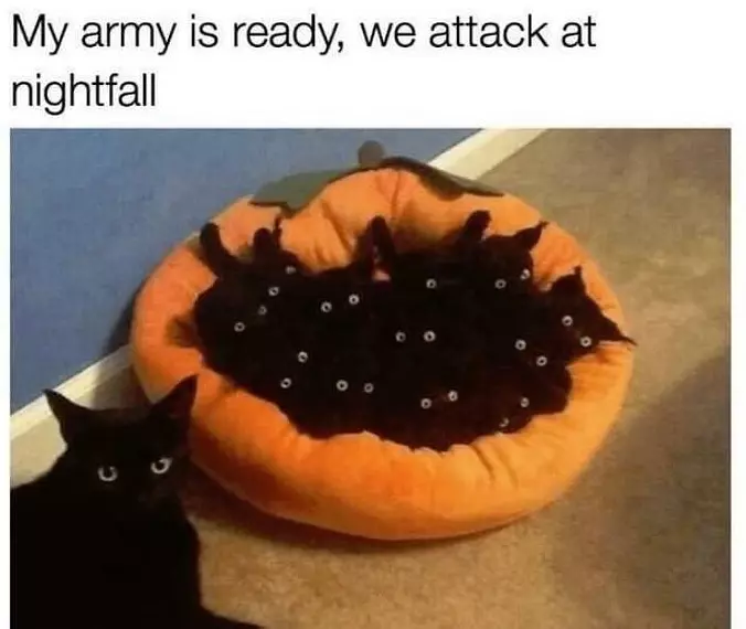 My Army Is Ready For Attack